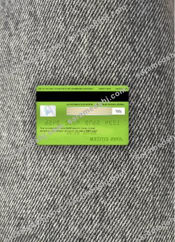 Japan Sumitomo Mitsui Banking Corporation (SMBC) bank visa electron card photolook back